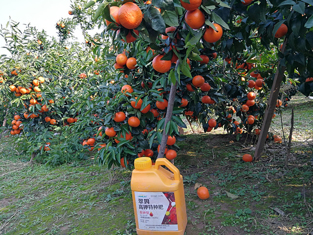 冲施肥,水溶肥,拉姆拉