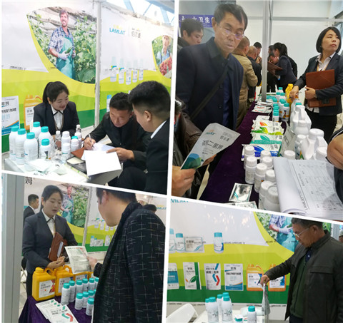 杨凌农高会,拉姆拉