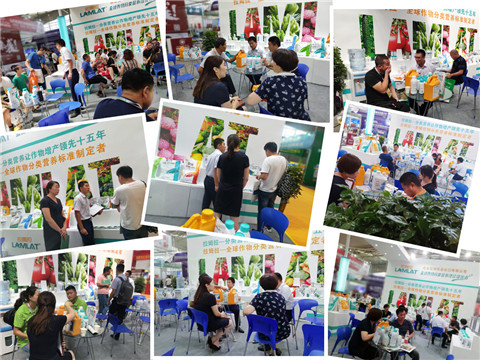 新疆，植保会，拉姆拉，翠姆，伯示麦