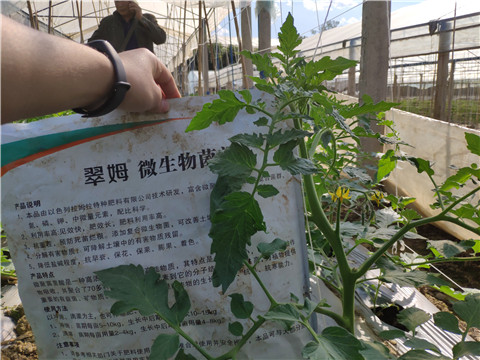 微生物菌剂 ，拉姆拉翠姆