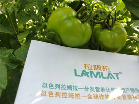 微生物菌剂，拉姆拉，伯示麦