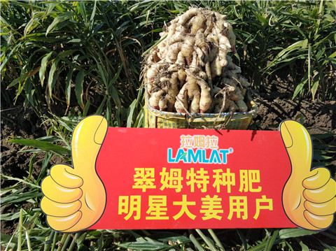 微生物菌剂，拉姆拉