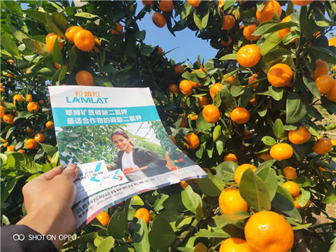 磷酸二氢钾，硼肥，拉姆拉