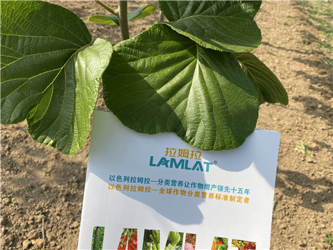 大量元素水溶肥，拉姆拉