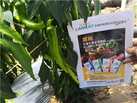 复合肥料，拉姆拉