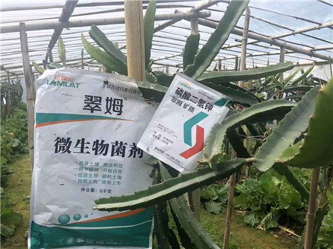 磷酸二氢钾，翠姆，拉姆拉