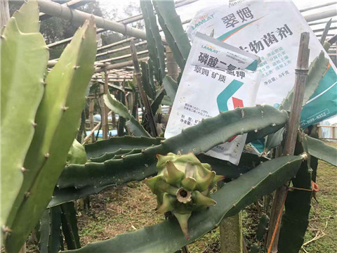 磷酸二氢钾，翠姆，拉姆拉