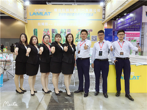 植保会，拉姆拉，翠姆