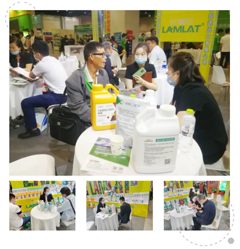 广西植保会,拉姆拉