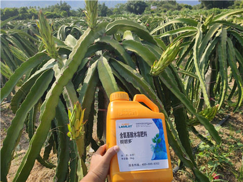 水溶肥，拉姆拉，翠姆