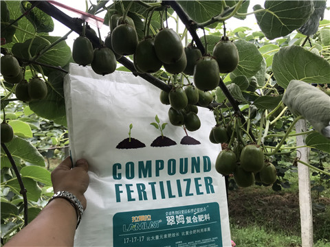 颗粒水溶肥，拉姆拉，翠姆