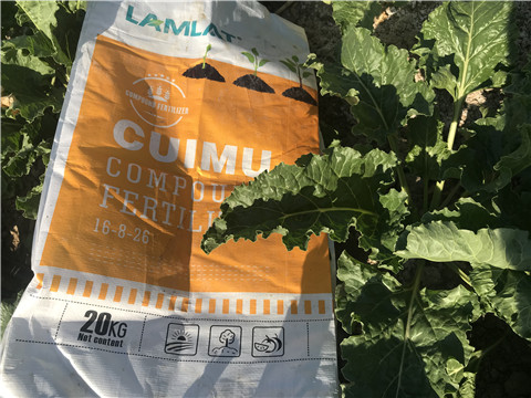 颗粒水溶肥，拉姆拉，翠姆