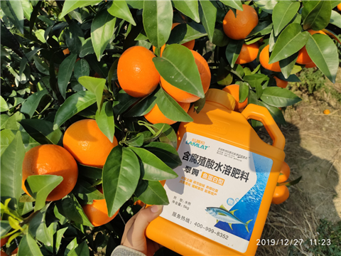 水溶肥，拉姆拉，翠姆