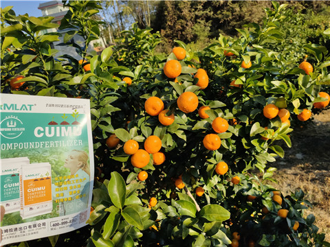 进口水溶肥，拉姆拉，翠姆