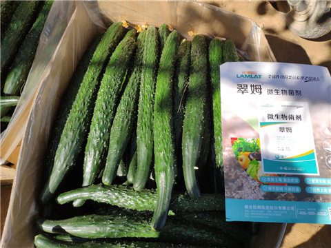 微生物菌剂，拉姆拉，翠姆