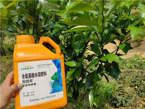 冲施肥，拉姆拉，翠姆