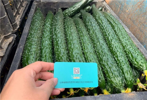 作物施肥管理，拉姆拉，翠姆