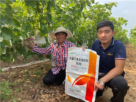 大量元素水溶肥，拉姆拉，翠姆