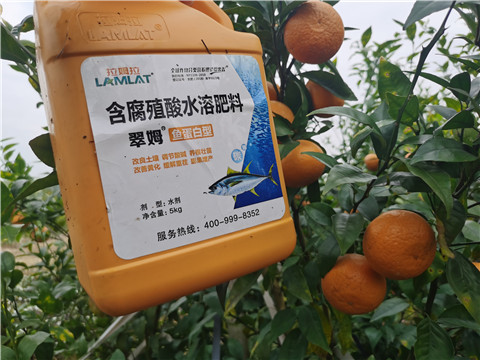 水溶肥，拉姆拉，翠姆