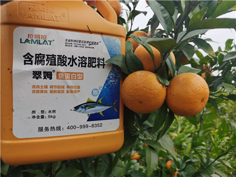 水溶肥，拉姆拉，翠姆