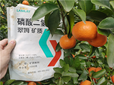 水溶肥，拉姆拉，翠姆