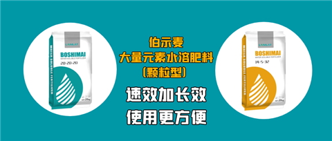 颗粒肥，拉姆拉，翠姆