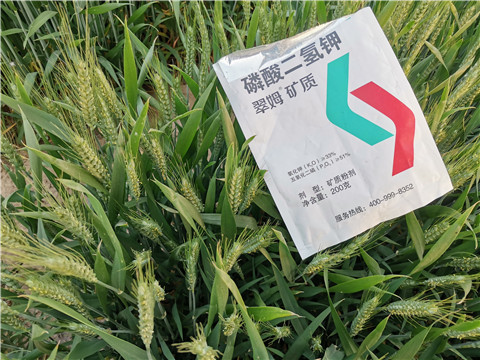 水溶肥，拉姆拉，翠姆