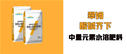 水溶肥，拉姆拉，翠姆