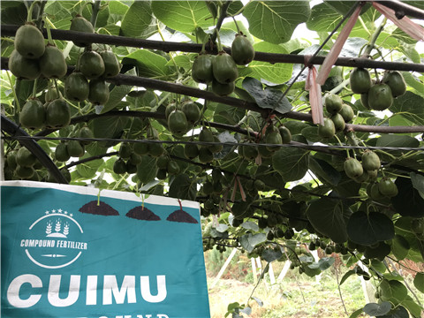 颗粒复合肥，拉姆拉，翠姆