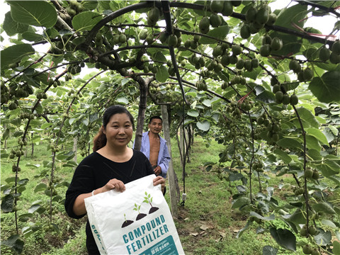 颗粒复合肥，拉姆拉，翠姆