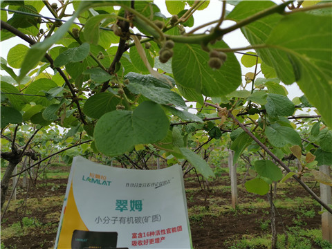 小分子有机碳，拉姆拉，翠姆