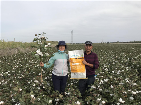 微生物菌剂，拉姆拉，翠姆