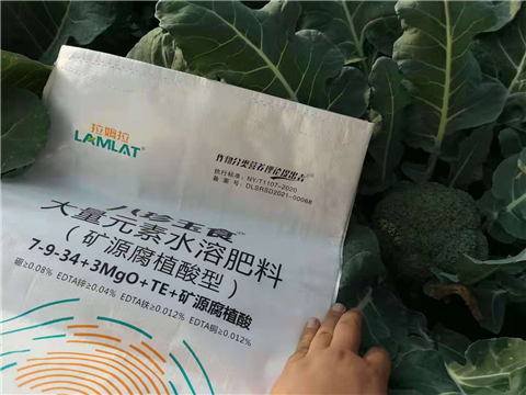 大量元素水溶肥，拉姆拉，翠姆