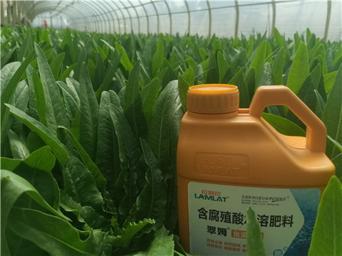 水溶肥，翠姆，拉姆拉