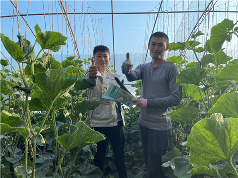 水溶肥，翠姆，拉姆拉