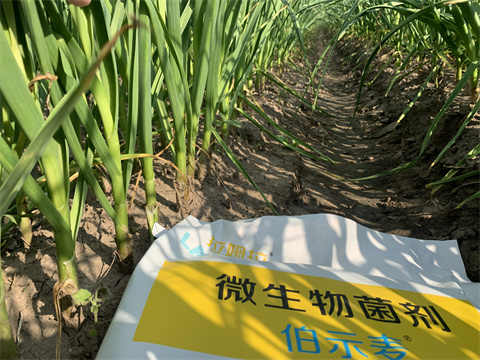 水溶肥品牌,伯示麦,拉姆拉