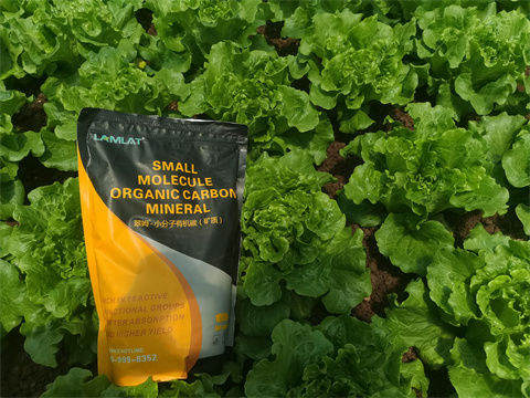 水溶肥,翠姆，蔬菜水溶肥