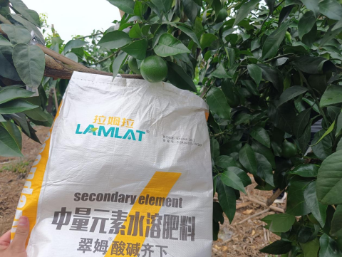 水溶肥厂家,底肥,拉姆拉水溶肥