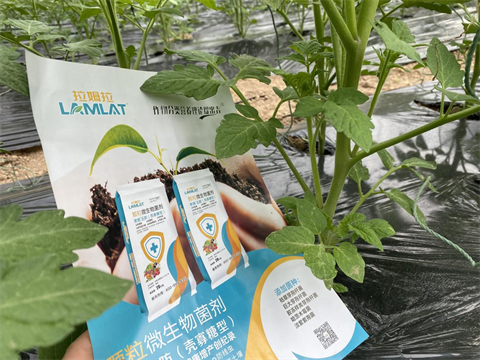 水溶肥厂家,土壤重茬,翠姆水溶肥