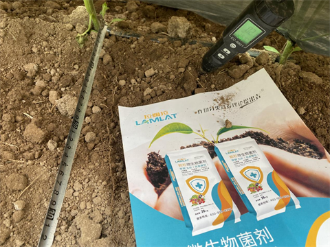 水溶肥厂家,土壤重茬,翠姆水溶肥