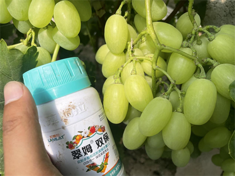 叶面肥品牌,拉姆拉特种肥,翠姆水溶肥