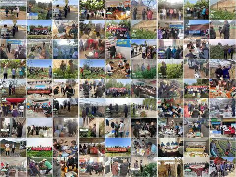 水溶肥厂家,拉姆拉特种肥,翠姆水溶肥