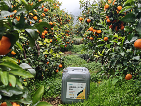 水溶肥品牌,拉姆拉,滴灌级特种肥