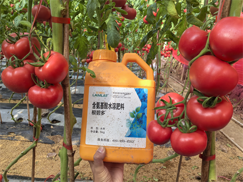 水溶肥品牌,拉姆拉,滴灌级特种肥