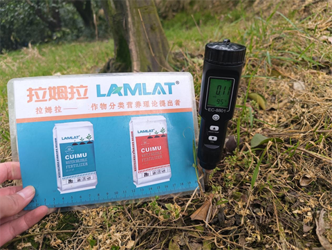 进口水溶肥,柑橘种植,拉姆拉滴灌级特种肥
