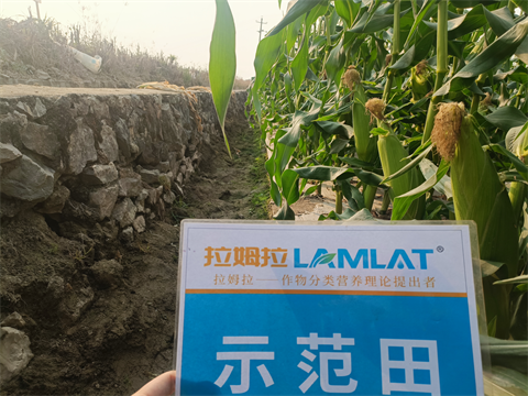 水溶肥厂家,拉姆拉水溶肥,拉姆拉滴灌级特种肥