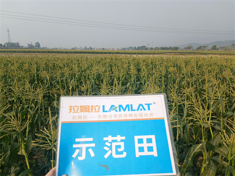 水溶肥厂家,拉姆拉水溶肥,拉姆拉滴灌级特种肥