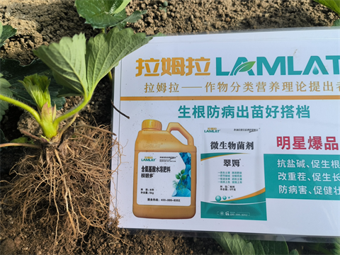 进口水溶肥,草莓种植,翠姆水溶肥