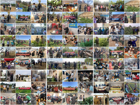 水溶肥厂家,农业内卷,拉姆拉滴灌级特种肥