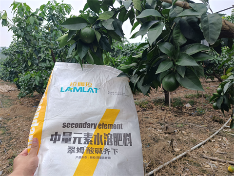 水溶肥品牌,柑橘种植,拉姆拉滴灌级特种肥